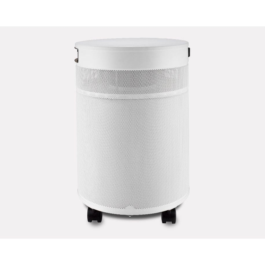 AirPura T600 Tobacco Smoke Air Purifier