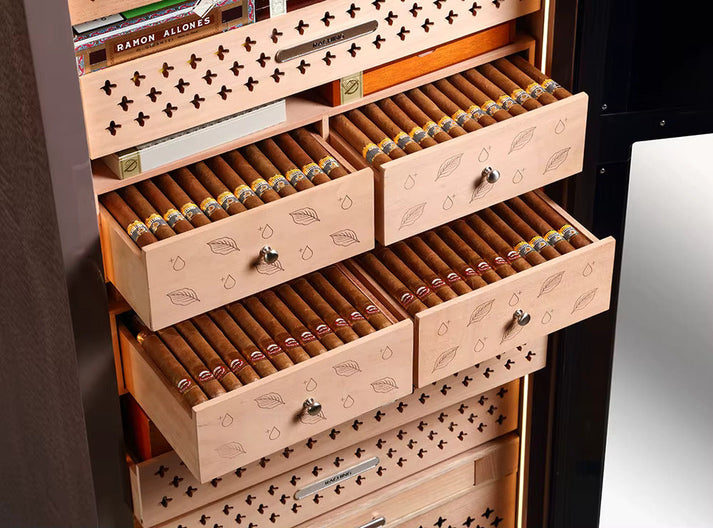 Raching Reserva RR980 Electric Humidor