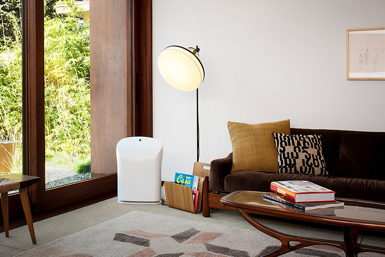 Rabbit Air BioGS 2.0 Ultra Quiet Air Purifier