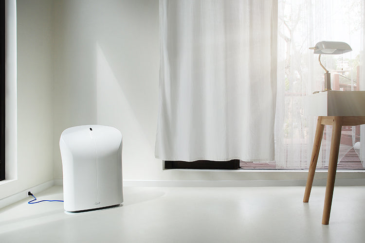 Rabbit Air BioGS 2.0 Ultra Quiet Air Purifier