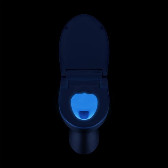 Brondell Swash DS725 Advanced Bidet Seat