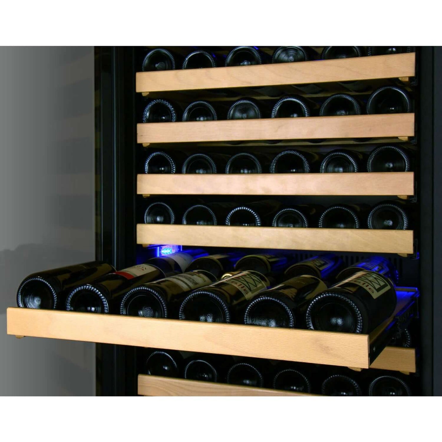 Allavino 24” 174 Bottle Single Zone Wine Cooler | Tru-Vino Technology and FlexCount II Shelving