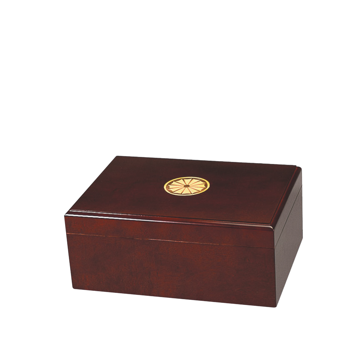 Sao Paolo Desktop Cigar Humidor | Holds 75 Cigars