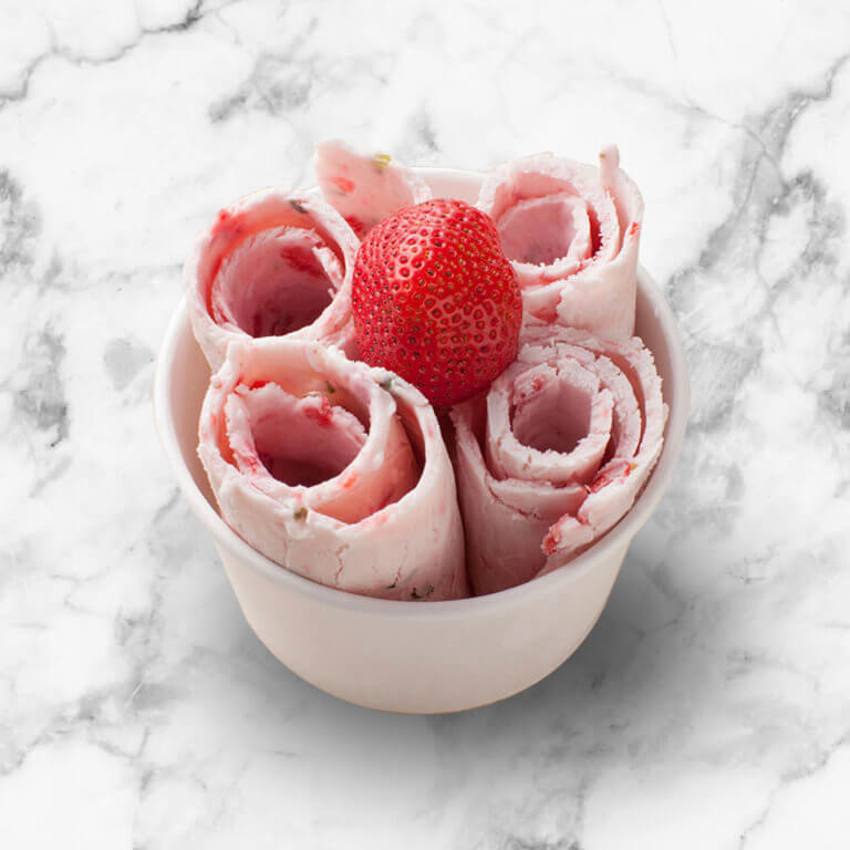 Whynter Instant Ice Cream Maker | Frozen Pan Roller in Stainless Steel | Portable