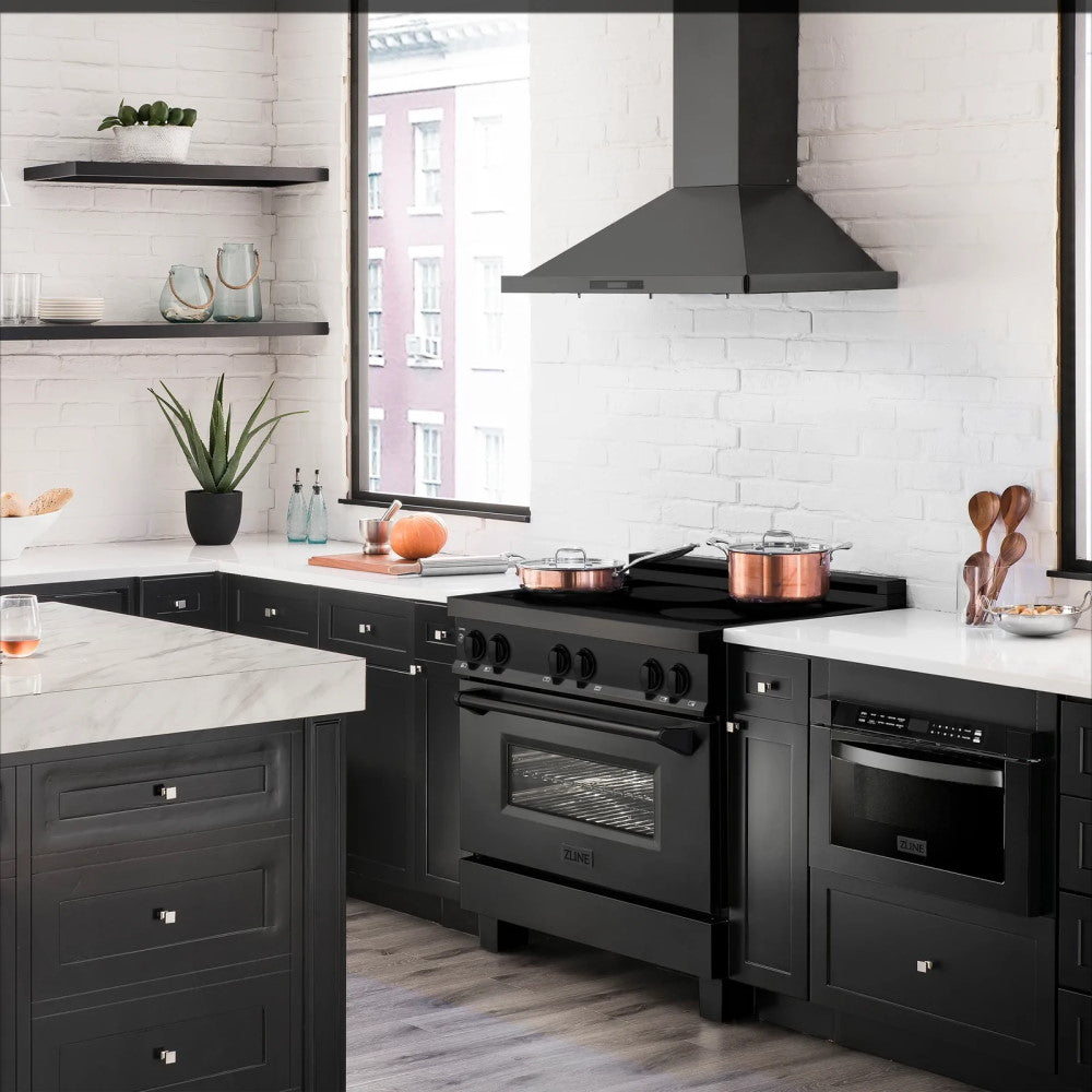 ZLINE Induction Range with a 4 Element Stove and Electric Oven (RAIND-BS)