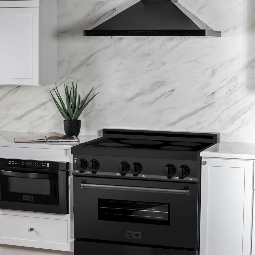 ZLINE Induction Range with a 4 Element Stove and Electric Oven (RAIND-BS)