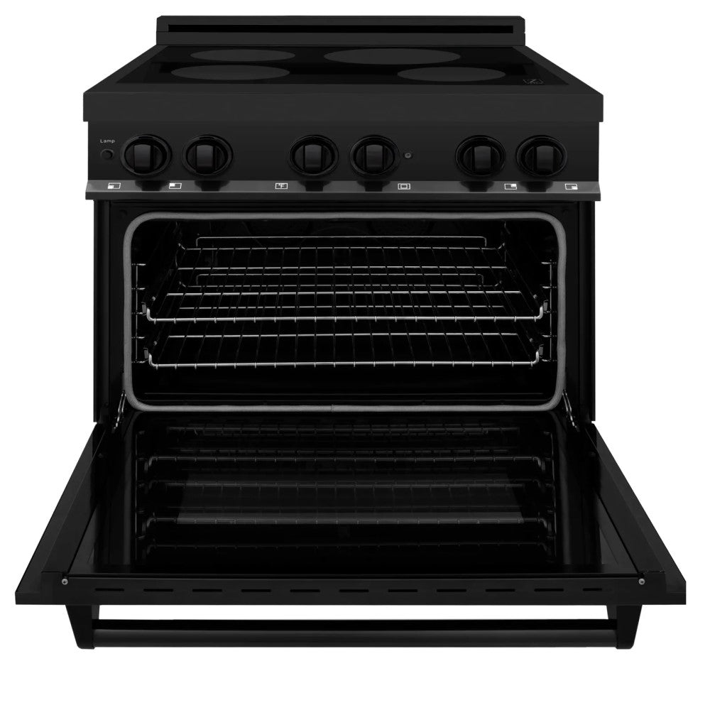 ZLINE Induction Range with a 4 Element Stove and Electric Oven (RAIND-BS)