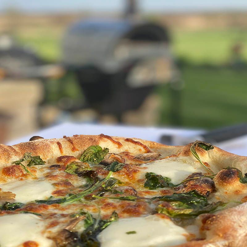 WPPO Karma 55" Wood Fired Outdoor Pizza Oven | Commercial Approved