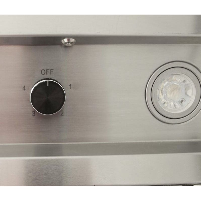 Blaze 42" Outdoor Vent Hood | 4 Halogen Lights