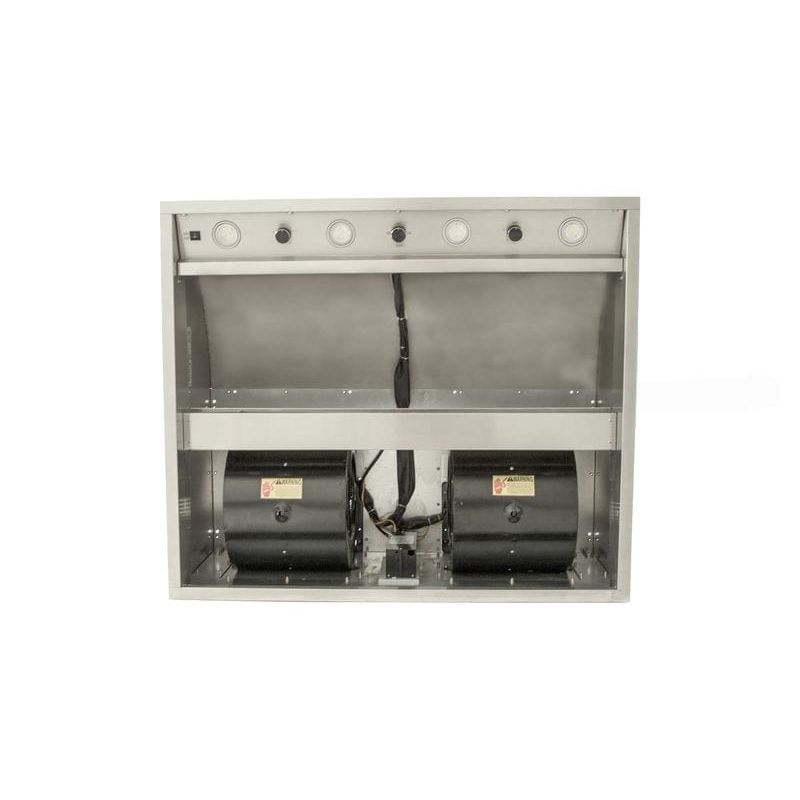 Blaze 42" Outdoor Vent Hood | 4 Halogen Lights