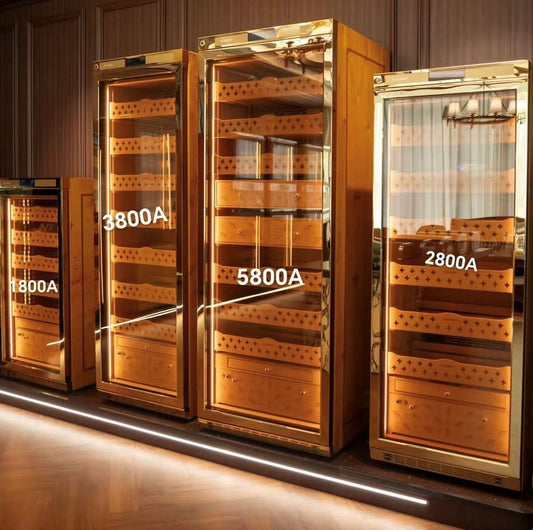 Raching Humidors Reviewed: The Full Lineup