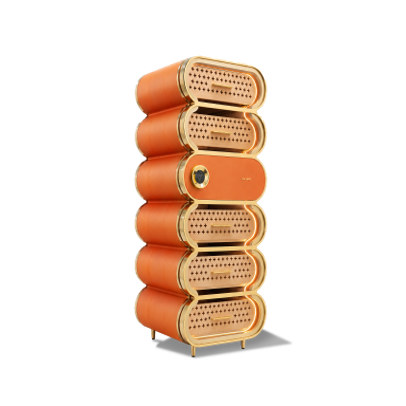 Raching Amber Series A6 Electric Humidor