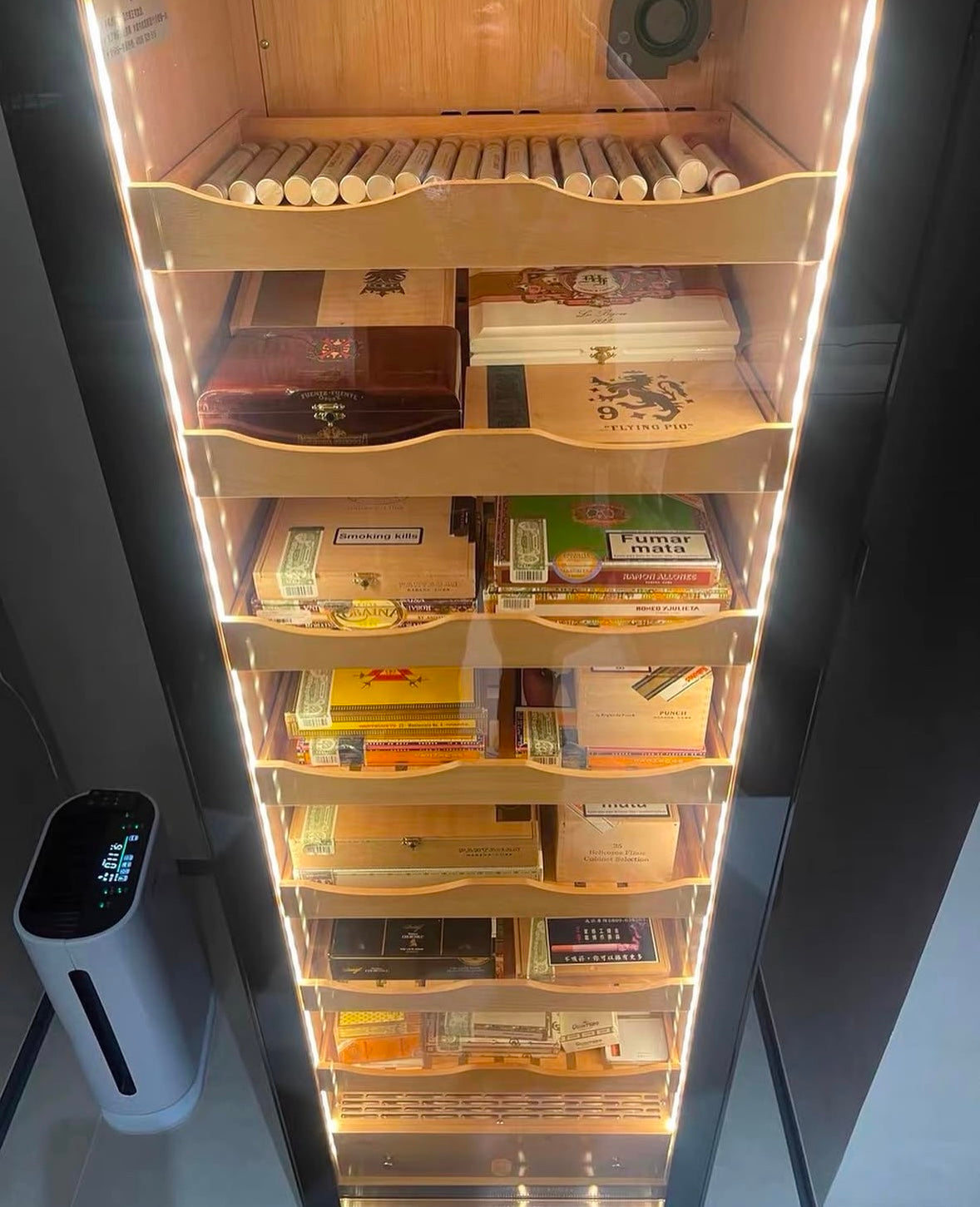 Raching C380A Electronic Humidor Cabinet | 1,500 Cigars