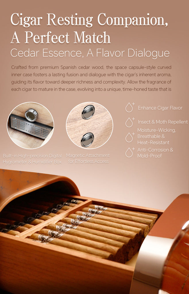 Raching RR Cigar Humidor Box | Premium Calfskin Leather