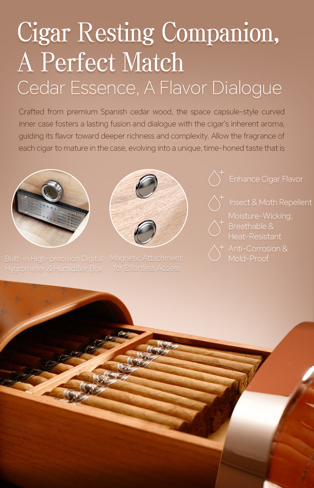 Raching RR Cigar Humidor Box | Premium Calfskin Leather