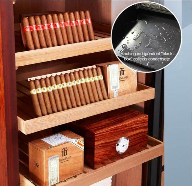 Raching C230A Electronic Humidor Cabinet | 900 Cigars