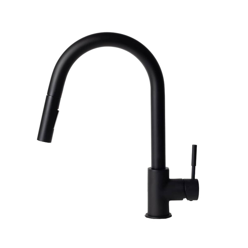 ZLINE Gemini Kitchen Faucet