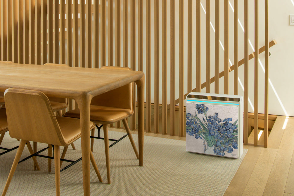 Rabbit Air A3 Ultra Quiet Air Purifier