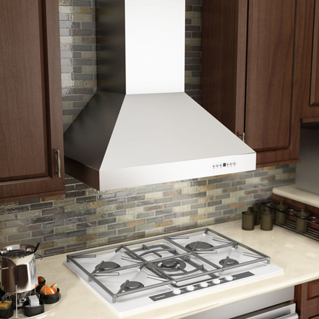 ZLINE Convertible Outdoor Wall Mount Range Hood in Outdoor Approved Stainless Steel (667-304)