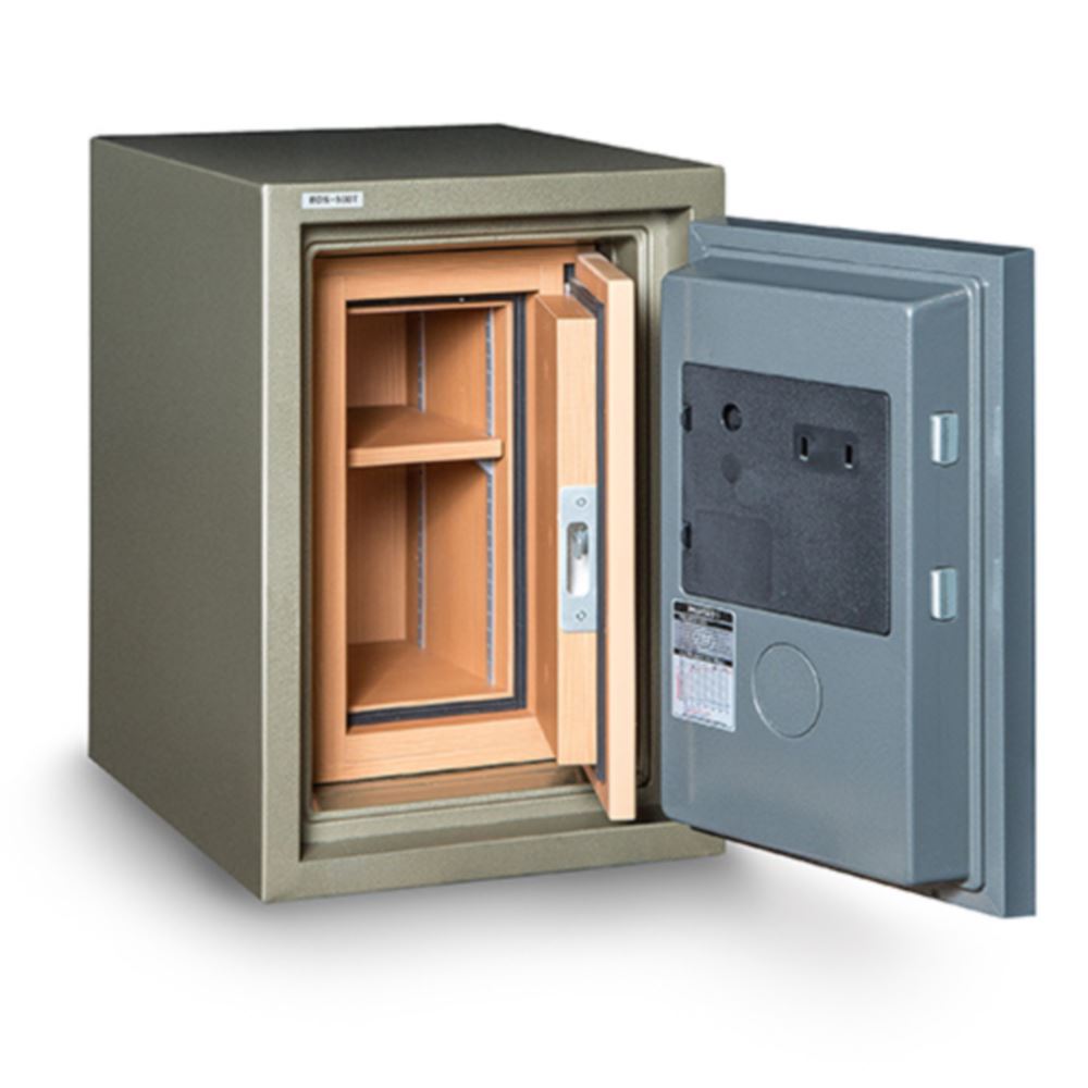 Hollon Data Safe | HDS-500E