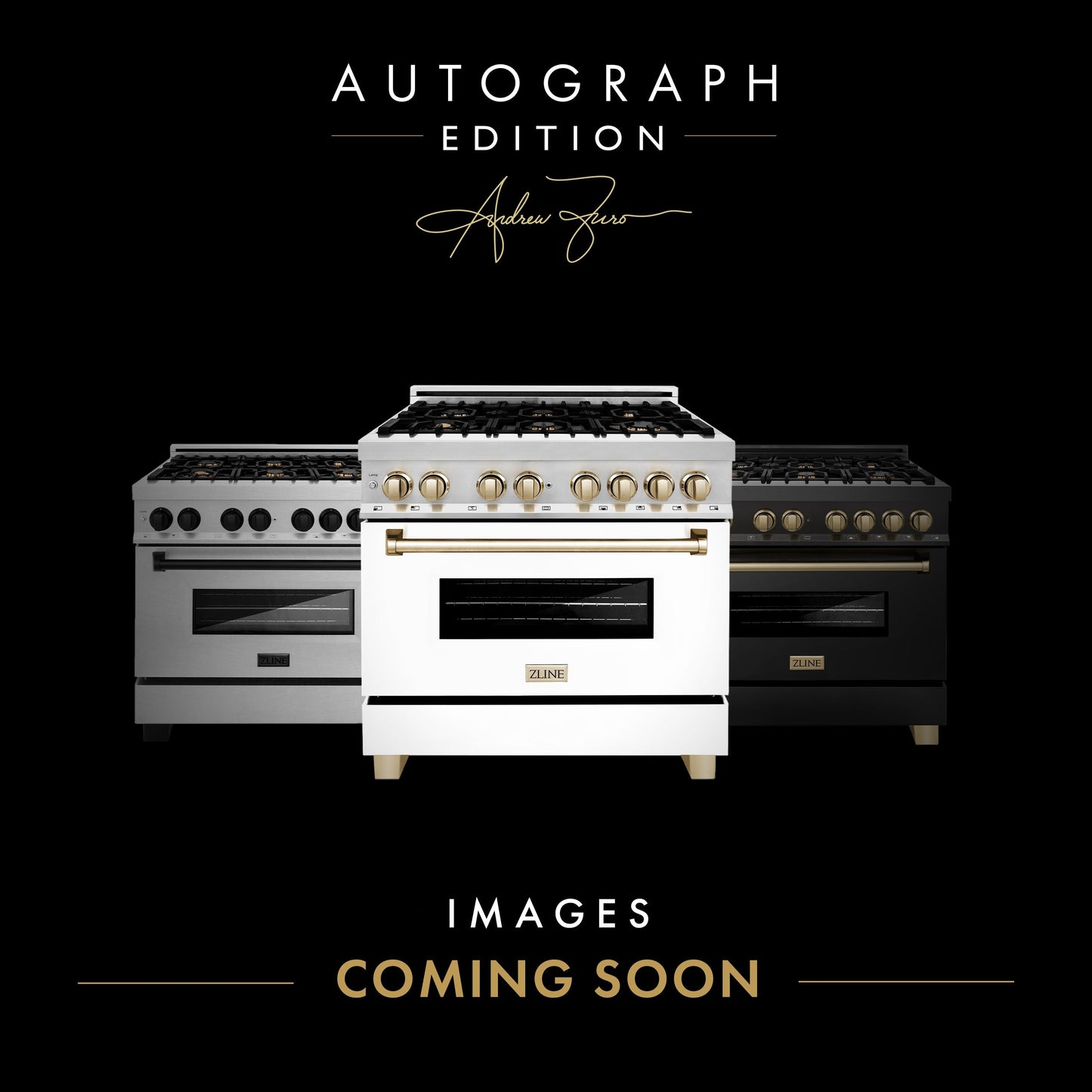ZLINE Autograph Edition 24" Dual Fuel Range with Gas Stove and Electric Oven in Stainless Steel with Accents (RAZ-24)
