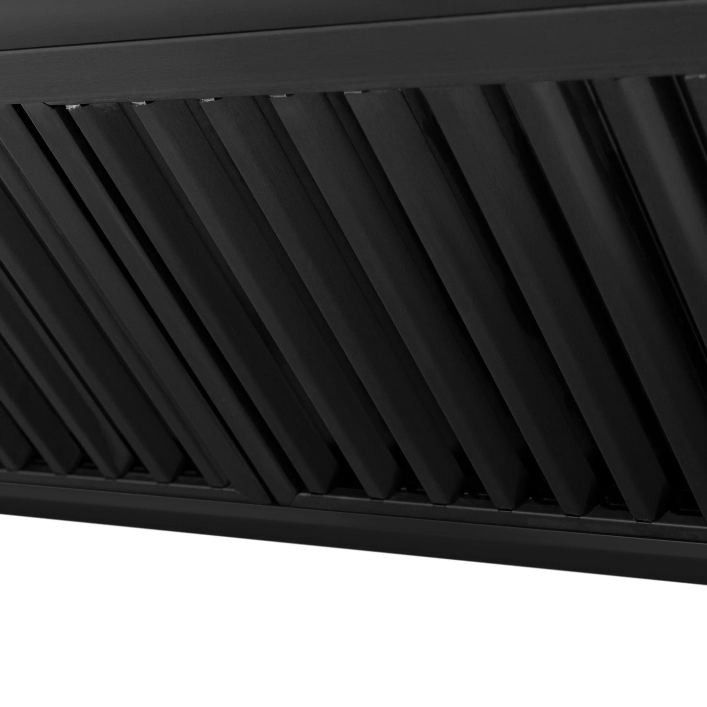 ZLINE BS655N Outdoor Wall Range Hood in Black Stainless Steel